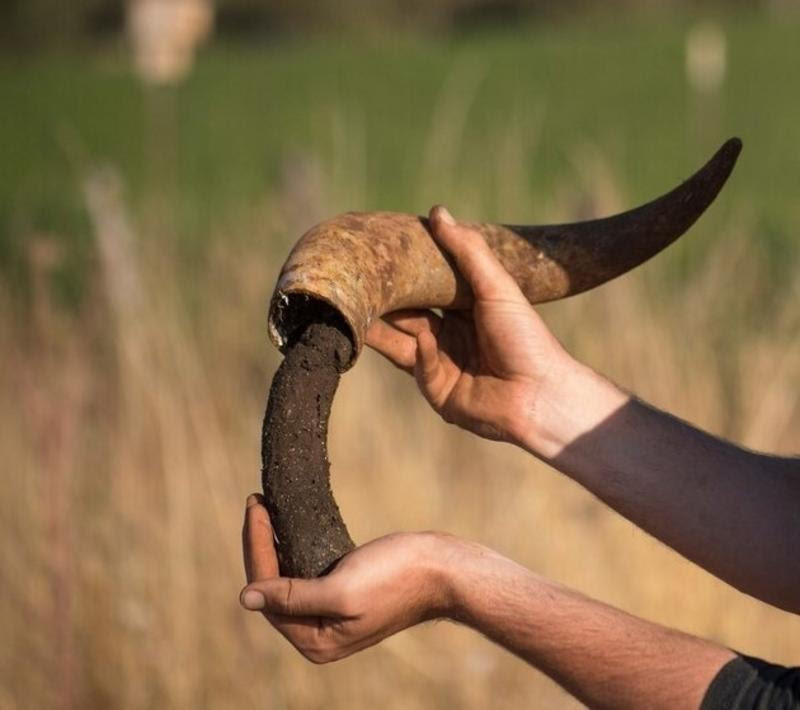 Introduction to Gardening the Biodynamic Way