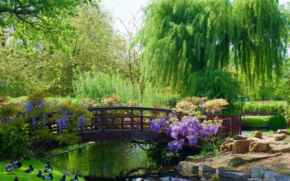 Creative Writing: Sound, Rhythm and the Senses