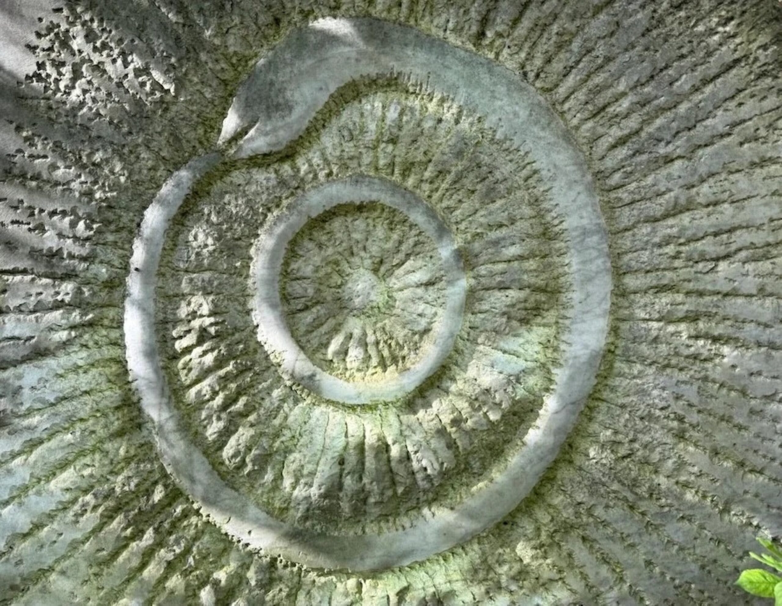 A reading of The Green Snake and the Beautiful Lily