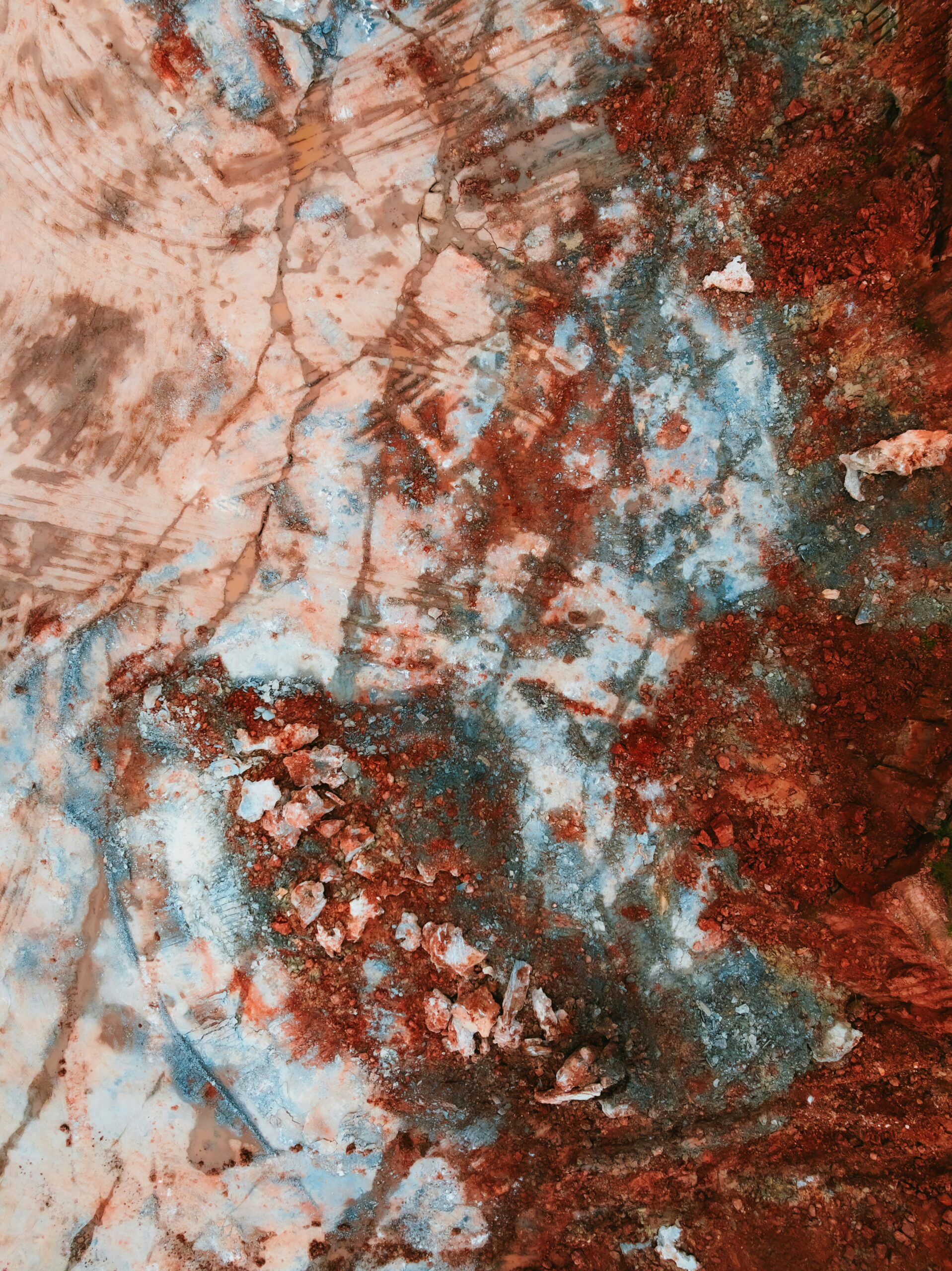 3.The Four Elements in Nature and Humanity – Temperaments