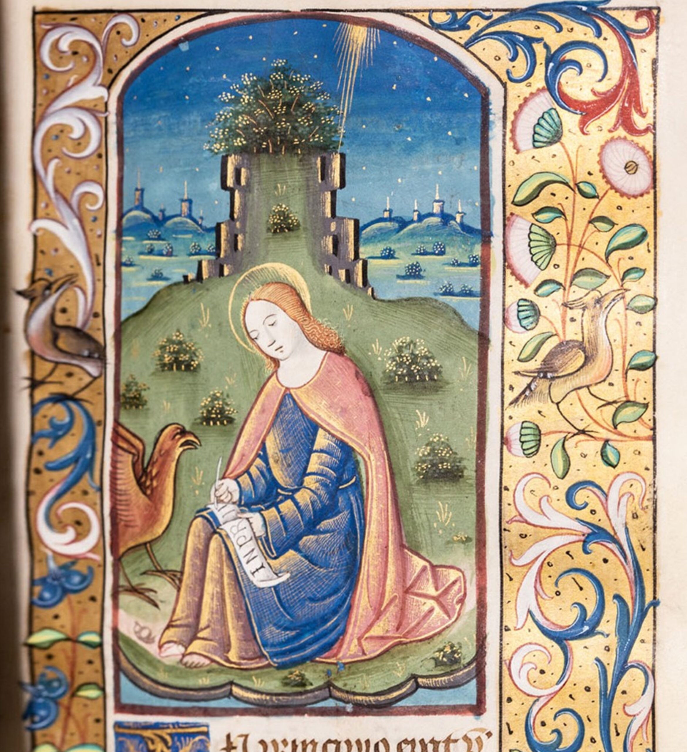 The Gospel of St John