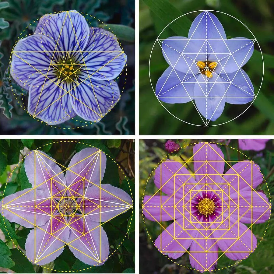 Sacred Geometry: Its Significance and Potential Within Your Reality